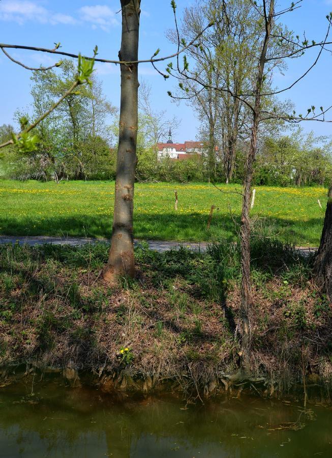 Ferienhaus Am Kamskefliess Lübbenau Extérieur photo